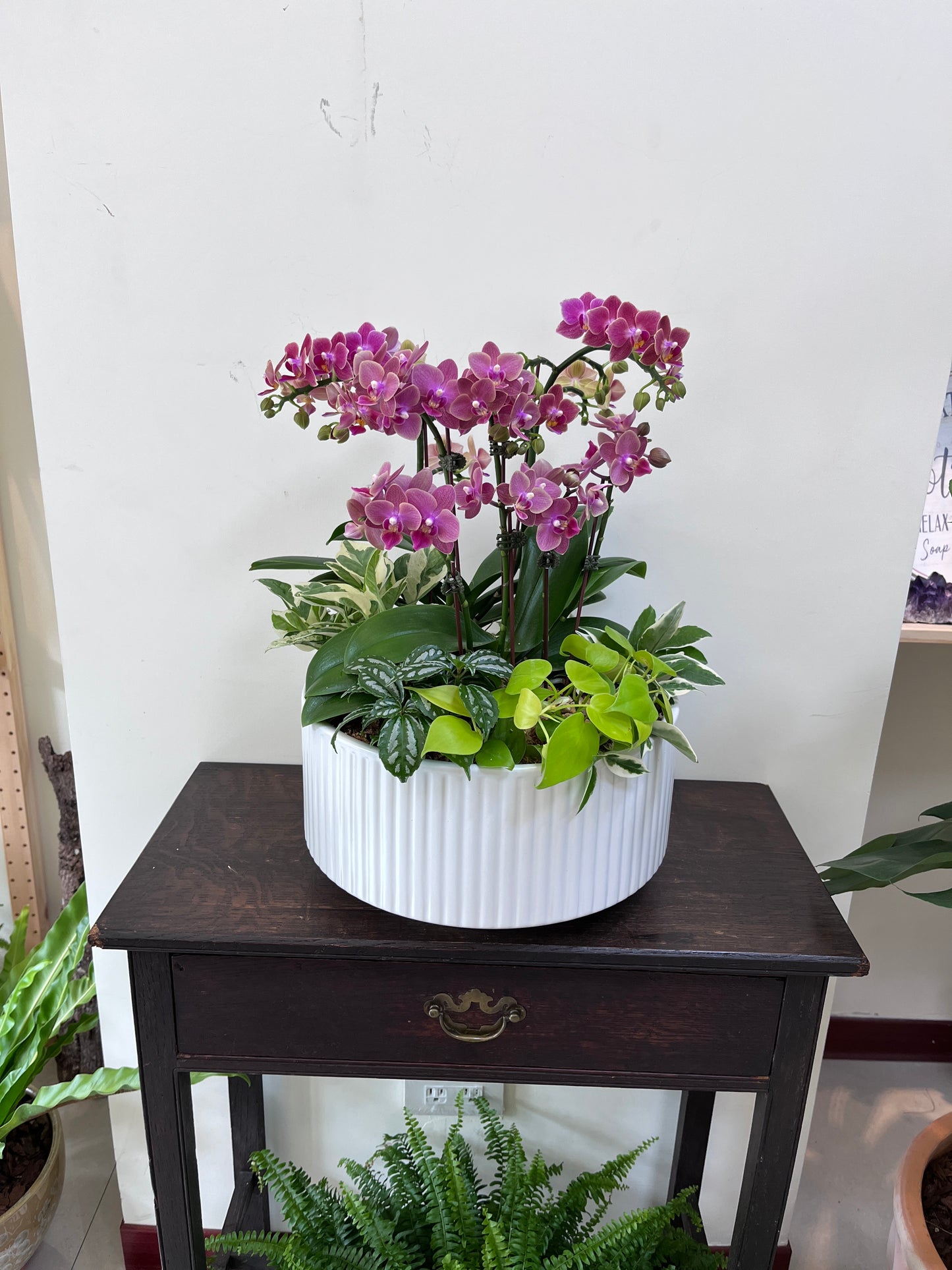 典雅蘭花花禮--蘭花組合盆栽(深粉/小花瓣)
