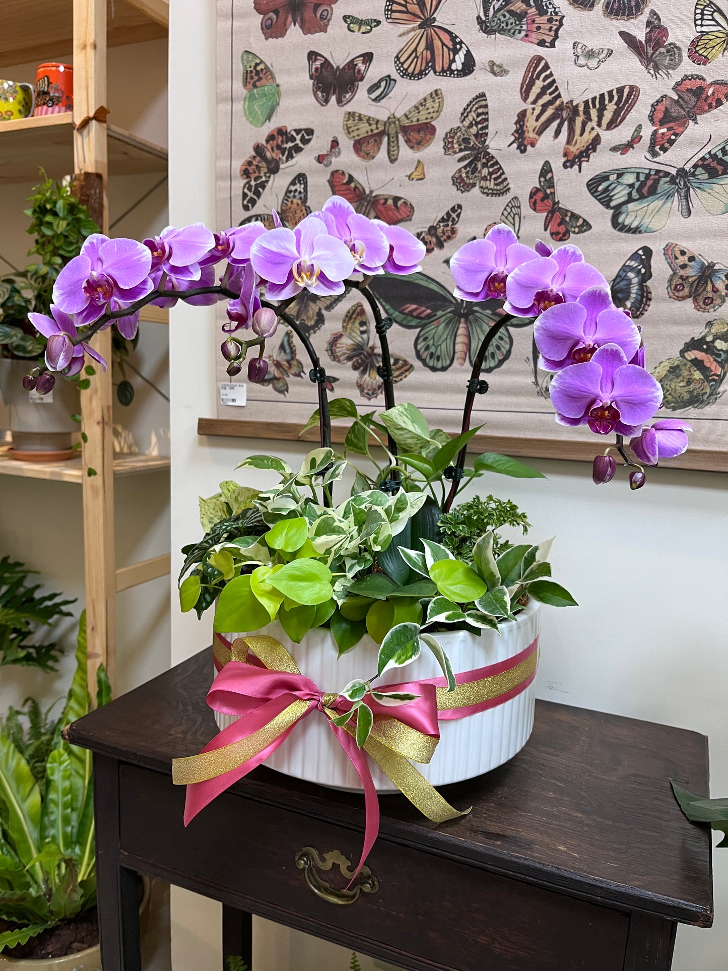 典雅蘭花花禮--蘭花組合盆栽(淡粉/大花瓣)