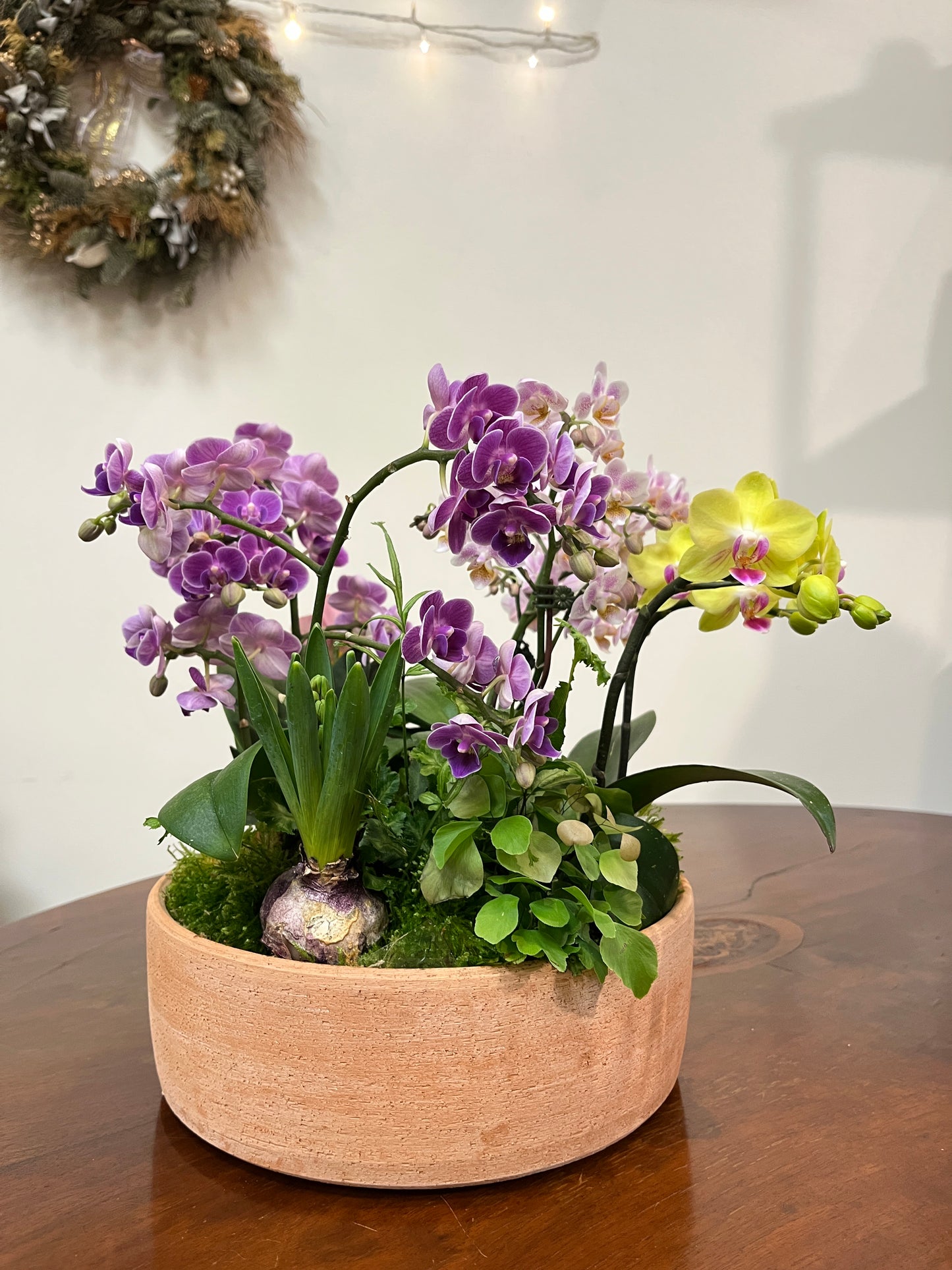 花園盛開｜蝴蝶蘭花禮盆栽